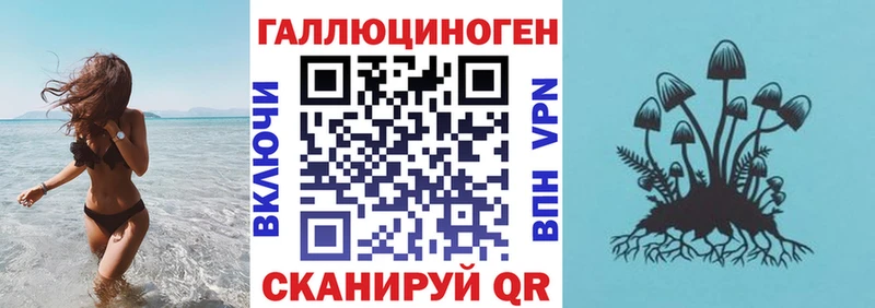 Псилоцибиновые грибы GOLDEN TEACHER Кореновск